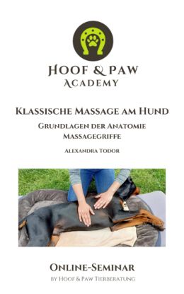 Picture of Online-Seminar "Hundemassage"
