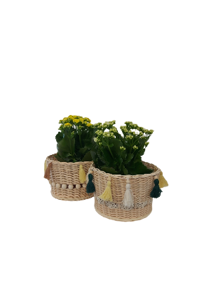 Bild von Blumenkorb aus Peddigrohr - ENE24