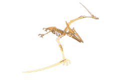 Bild von Flugsaurier 3D-Puzzle